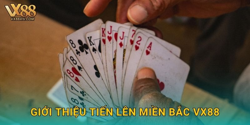 Tiến Lên Miền Bắc căng não – Đấu trí hấp dẫn tại Vx88 2 Giới thiệu Tiến Lên Miền Bắc Vx88